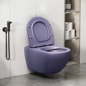 elongated toilet accessories bathroom blue color closet ceramic sanitary furniture stock marble granite inodoros hidden tank
