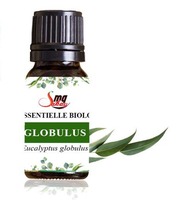 Huiles essentielles naturelles pressées à froid en vrac, 100% pures, variées saveurs, professionnelles pour la production de cosmétiques et de parfums