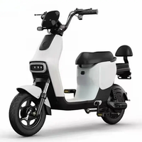 Bicicletas Eléctricas de Venta Caliente en China con Batería de Plomo-Ácido, Precio de Fábrica Económico, Bicicleta Eléctrica Urbana de Dos Ruedas y 48V para Adultos