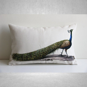 Elegant Herb Plants Ancient Illustrations Pillow Cover - Nature Botanical <strong>Cushion</strong> Cover <strong>Beige</strong> Lumbar Rectangle Pillow Cover - Product Image 4