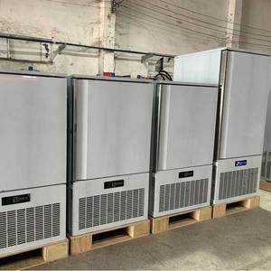 Giá xuất xưởng bán nóng chất lượng cao một tủ đông lạnh nhanh công suất lớn 30 tấm ở âm Tám Mươi độ - Product Image 3