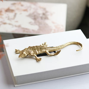 批发定制空间装饰雕塑家居装饰项目铜鬣蜥工艺品 - Product Image 2