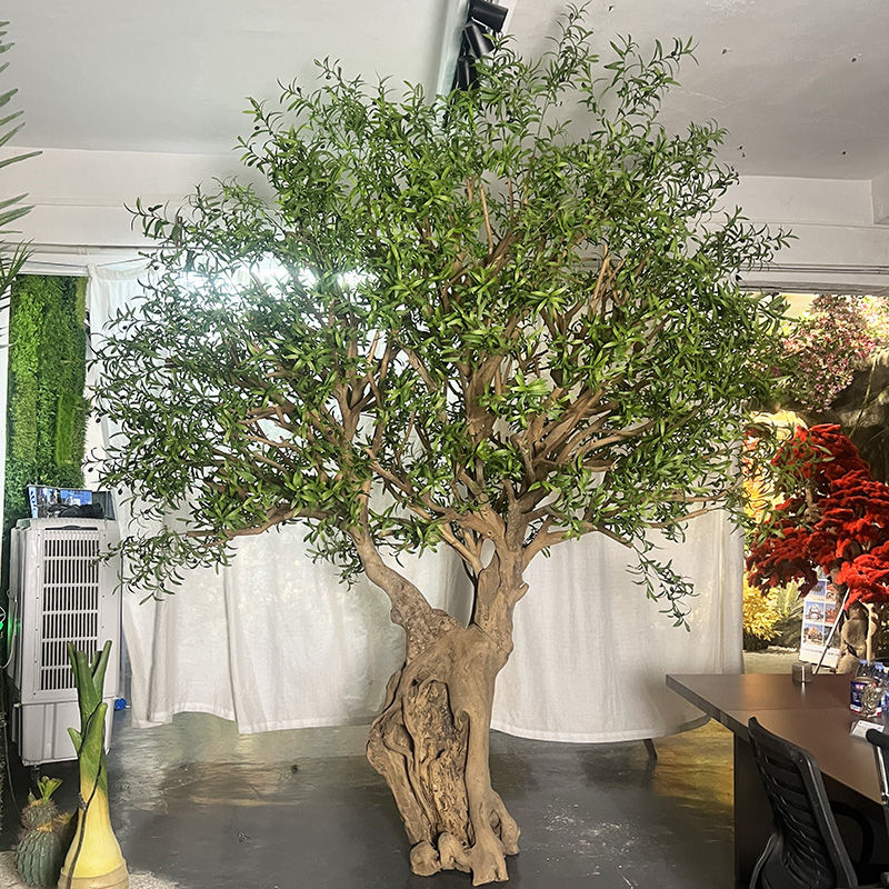 olive tree