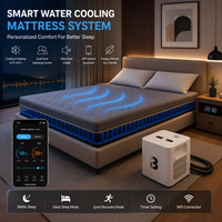 Système de refroidissement et de chauffage pour matelas - Système de refroidissement avancé à base d'eau - Alternative au sommeil - 8 Sleep Alternative