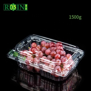 125g 250G 500G nhựa trái cây bao bì rõ ràng hộp trái cây Berry Dâu Tây Việt Quất vỏ sò có lỗ cho siêu thị - Product Image 4