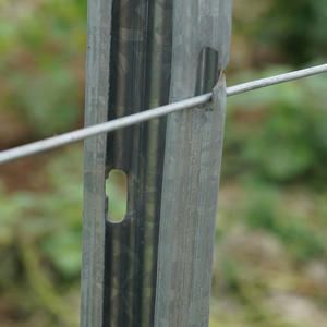 Paletti per vigneto in metallo zincato a caldo supporto per la vite a bassa manutenzione per il sistema a traliccio frutteti allevamenti di calore di pressione - Product Image 3