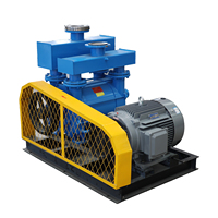 Pompe à vide à anneau liquide électrique horizontale haute pression personnalisable OEM série BOYUAN 2BE pour l'industrie papetière