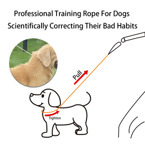 Custom Slip <b>Lead</b> Rope Dog <b>Lead</b> Leashes Pet Traction Rope Leashes Dog Walking <b>Training</b> <b>Lead</b> For Medium Large Dogs - Product Image 2