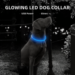 <span class=keywords><strong>Collar</strong></span> Luminoso para Perro con Cintas LED Recargables por USB - Product Image 2