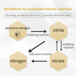 Bq De-N Probiotica Voor Aquatische Systemen Snelle Nitriet-En Nitraateliminator Denitrificerende Bacteriën Voor Aquariumfosfaatcontrole - Product Image 4