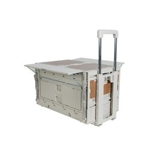 Troli Dorong Tarik Portabel OEM Grosir dengan Tutup Terintegrasi untuk Penyimpanan di Mobil - Product Image 3