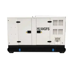 Generador diésel de 50KW, tipo silencioso con ATS, calidad superior, precio bajo de fábrica china