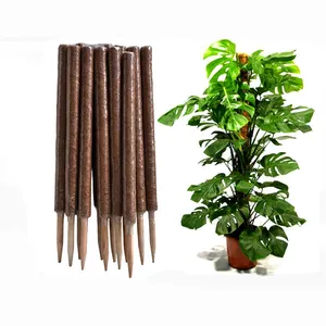 6ft Pacote Jardim Flor Real Suporte Coco Coco Moss Pole Planta Estaca Para Escalada Planta