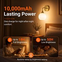 Lampu Dinding Emas Brushed, Tempel dan Pakai, Baterai, Kaca Buram, Nirkabel, Bohlam Isi Ulang 12 RGB, untuk Meja Rias