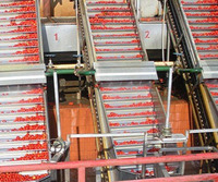 LWT Volledig Automatische Multifunctionele Hoge Efficiëntie Chocolade-Tomaat Conservenverwerkingsmachine Plant Voedingsmiddelenklasse