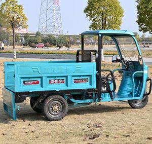 FGQ 2026 Nouveau Tricycle de <span class=keywords><strong>Transport</strong></span> de Marchandises à Benne Basculante, Charge Utile 400kg, Électrique Motorisé 1000W, 35km/h, avec Cabine et <span class=keywords><strong>Toit</strong></span> - Product Image 3
