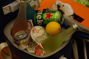 Tas Pendingin Anggur Tpu Kustom Tahan Air Berinsulasi, Tas Pendingin Makan Siang Ikan Buatan Sendiri dengan logo - Product Image 3