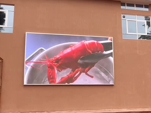 Sıcak satış P4 P5 P8 açık led ekran reklam panoları su geçirmez LED <span class=keywords><strong>video</strong></span> duvar - Product Image 5