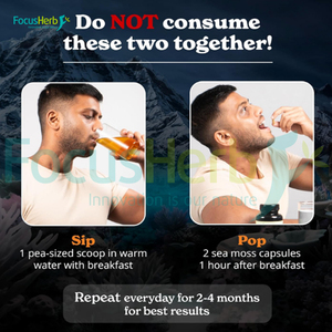 Série de compléments alimentaires naturels purs au Shilajit de l'Himalaya, marque privée OEM ODM Focusherb - Product Image 4