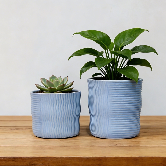 Light Blue Dual-Texture (Wavy & Ribbed) Ceramic Plant Pots - Multi-Size Fresh Minimalist Indoor Planters (Wholesale)