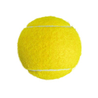 Balles de tennis Macaron vert menthe Série légère d'entraînement professionnel 1.2m/1.47m Hauteur de rebond Haute élasticité Durable PET Play