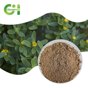 Grosir ekstrak Purslane 20% bubuk Saponins untuk jus - Product Image 1
