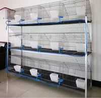 Cage pour animaux 9/12/18 cellules, cages d'élevage de lapins galvanisées commerciales au Zimbabwe et au Kenya