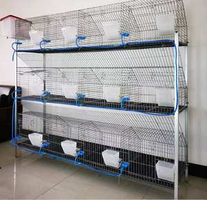 Cage pour animaux 9/12/18 cellules, cages d'élevage de lapins galvanisées commerciales au Zimbabwe et au Kenya - Product Image 3