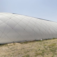 Serre multi-travée à membrane en plastique remplie de dôme d'air télécommandé de contrôle automatique moderne de Offre Spéciale pour l'agriculture