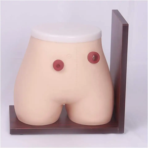 Mô hình chăm sóc xương khoa học y tế-Mô hình đại tràng mô phỏng hồi Tràng cho giảng dạy - Product Image 5