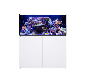 <span class=keywords><strong>2026</strong></span> RedSea G2 Modern Riff <span class=keywords><strong>Aquarium</strong></span> Glazen Tank met Zeewaterfilter voor Vissen & Zeewaterkoralen Nieuw Product Moderne Stijl Verpakt in doos - Product Image 5