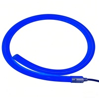 Siyah LED Neon Flex Tüp 360 Derece Görüş Açılı Yuvarlak Şekilli Neon Şerit Işık