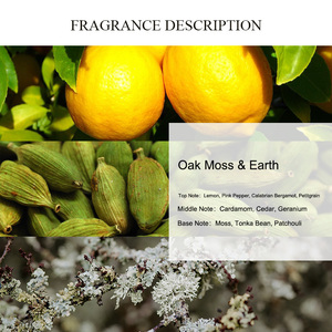 UNIQUE AROMA Huile de parfum pour bougie de mousse de chêne <span class=keywords><strong>et</strong></span> de <span class=keywords><strong>terre</strong></span> Huile de parfum de marque de vente chaude Huiles de parfum concentrées de longue durée - Product Image 2