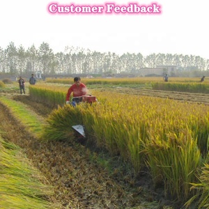 Hiệu quả cao trang trại Reaper Mini gặt đập máy Ngô gặt đập máy trên bán - Product Image 5