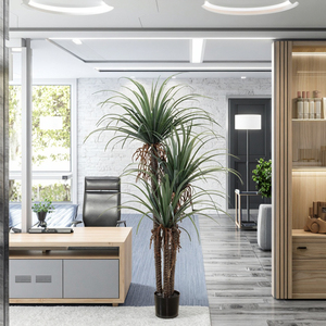 <span class=keywords><strong>Árbol</strong></span> <span class=keywords><strong>de</strong></span> Plátano Artificial <span class=keywords><strong>de</strong></span> Alta Calidad, Jade Horizon, <span class=keywords><strong>Dracaena</strong></span> <span class=keywords><strong>Draco</strong></span>, Plástico/PE/PVC, Ecológico, Duradero, Resistente al Agua - Product Image 3