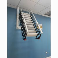 Échelle de grenier télescopique murale surélevée de 3,8 m, structure moderne en acier au carbone supportant 300 kg pour utilisation en grenier