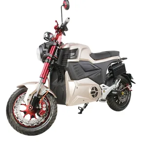 Mobilität Leistungs stark 2000W 3000W 72 V20AH 60 km/h Elektromotor räder EBike MotorbikeAdult