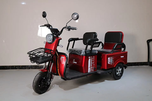 ชุดอุปกรณ์รถสามล้อ 60v 800w รถสามล้อสำหรับผู้ใหญ่ รถสามล้อสำหรับผู้ใหญ่ที่ไม่ต้องมีใบขับขี่ - Product Image 5
