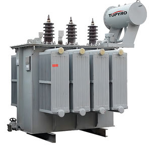Трансформаторы распределительные электрические Topyro 50 кВА, 100 кВА, 200 кВА, 250 кВА, 300 кВА, 400 кВА, 800 кВА, 1000 кВА, 3000 кВА: цена - Product Image 1