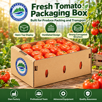 Groothandel Eco-vriendelijke Biologisch afbreekbare Herbruikbare Golfkartonnen Fruitbak met Aangepast Logo Gerecycleerde Tomaten- en Groentenverpakking