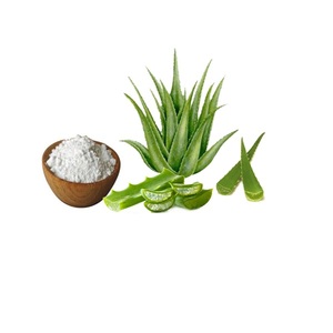 Polvo de extracto seco de Aloe Vera de alta calidad, ingrediente natural puro a base de plantas utilizado en condimentos, mezclas de hierbas, productos orgánicos - Product Image 4