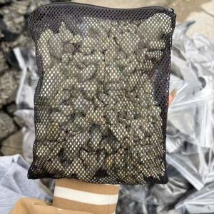 VASTOCEAN Magnetische Levitatie Rotsformatie Ecologisch Hars Glas <span class=keywords><strong>Aquarium</strong></span> Ornament voor Zeepaardjes Zoutwater/Zoetwater - Product Image 5