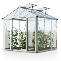 Serres en polycarbonate de 10x12 pieds maison de jardin de plain-pied serre à cadre en aluminium maison chaude