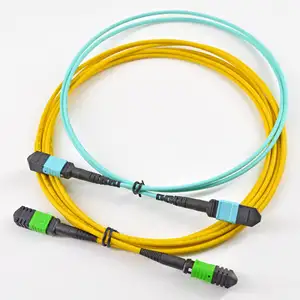 Mtp/Mpo 5.0Mm Aangepaste Lengte Multimode Om3 Fiber Optic Patch Cord Match Met Apparaten