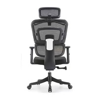 Chaise de bureau ergonomique contemporaine à dossier haut pivotant avec cadre en acier inoxydable, dossier en maille, pour ordinateur, rafraîchissante et réglable