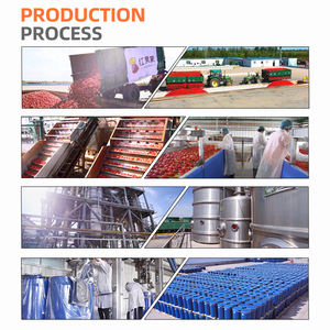 Pâte de tomate aseptique <span class=keywords><strong>Tetra</strong></span> Brik 135g de pâte de tomate en forme de brique de marque OEM - Product Image 5