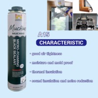 MUCHAO A15 750ml Mastic polyuréthane noir micro-moussant imperméable, monocomposant, adapté aux fenêtres et aux travaux extérieurs