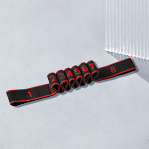 สายยืดออกกำลังกาย WANZHUO Theraband พร้อ<span class=keywords><strong>ม</strong></span>ตัว<span class=keywords><strong>เลข</strong></span>สำหรับการจัดแนว ยืดกล้ามเนื้อ พิลาทิส และฝึกการทรงตัว แรงต้านสูง สำหรับออกกำลังกายที่บ้าน - Product Image 3