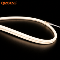 Bande néon OEM à émission latérale 24V 2835 180 LED/m L10*H10mm 4000K Blanc Naturel Ra80 IP68 USB Dimmable Personnalisable Rouleau de 5m Fabricant