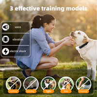 Collier de dressage pour chien C96 IP67 étanche multi-modes avec bip, vibration et choc